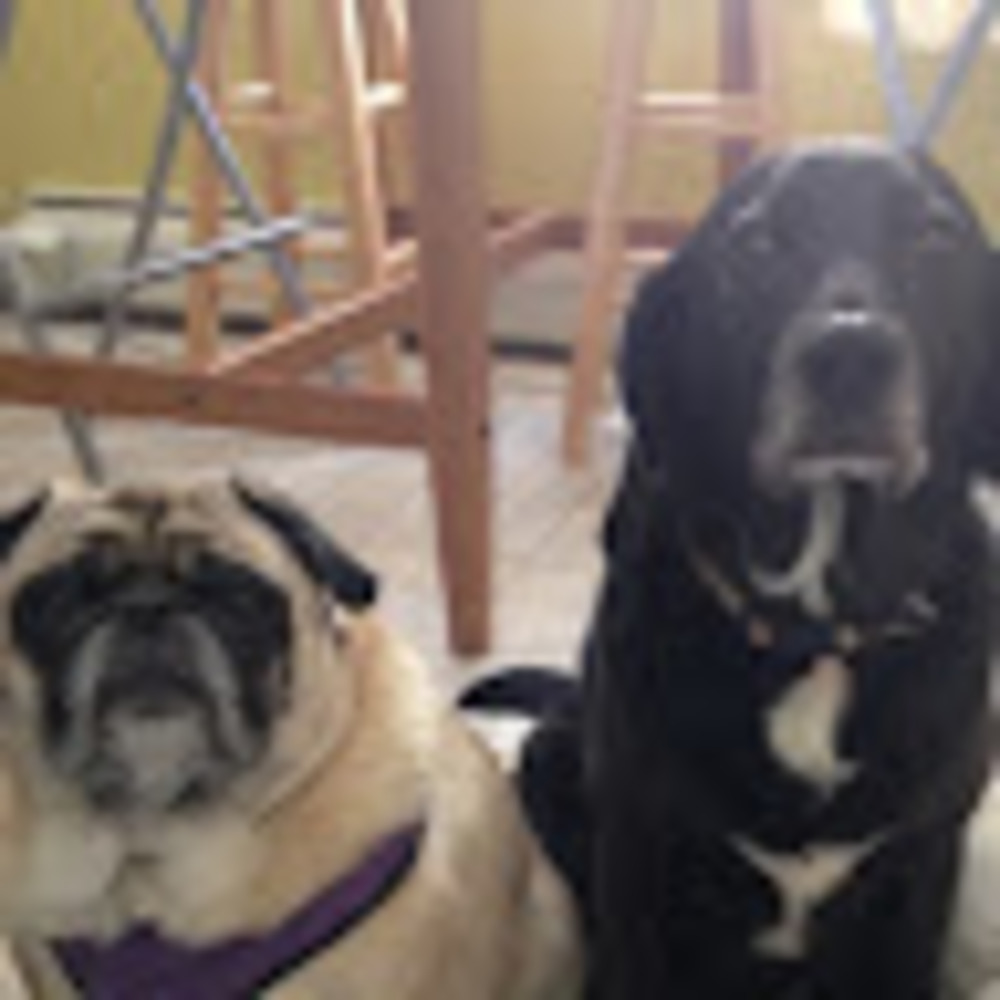 Meet your Posher, Daniel